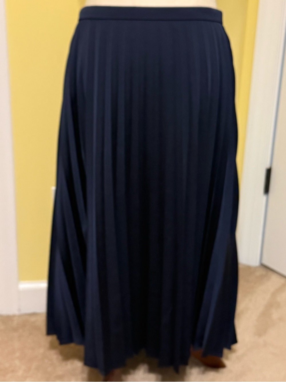 J. Crew Navy Pleated Maxi Skirt